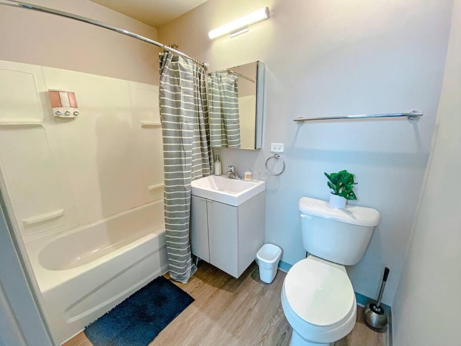 Modern 2Br In South Loop Near Soldier Field, Grant Park, Downtown, & Lakefront Trail Chicago Dış mekan fotoğraf